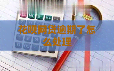 白条网贷逾期了怎么处理