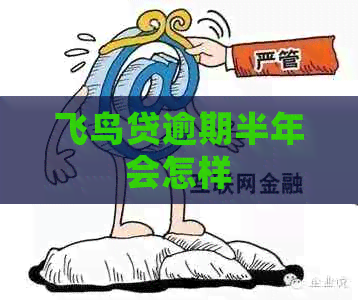飞鸟贷逾期半年会怎样