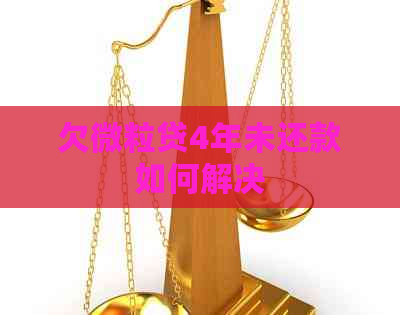 欠微粒贷4年未还款如何解决