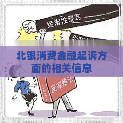 北银消费金融起诉方面的相关信息