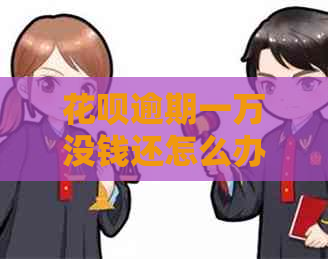 白条逾期一万没钱还怎么办