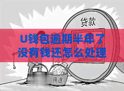 U钱包逾期半年了没有钱还怎么处理