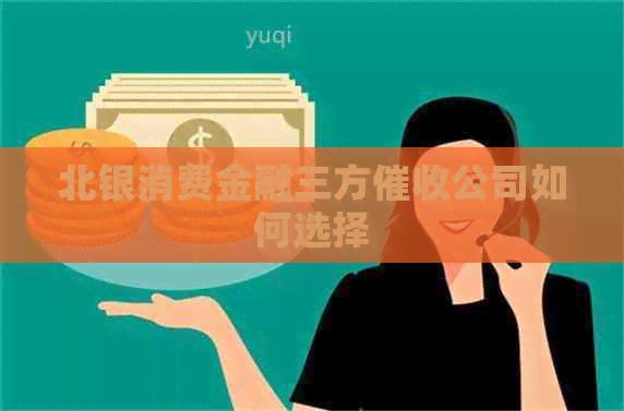 北银消费金融三方公司如何选择