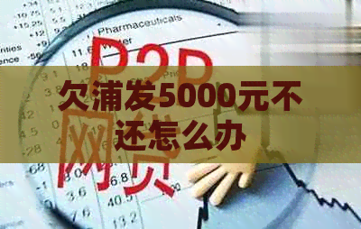 欠浦发5000元不还怎么办