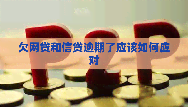 欠网贷和信贷逾期了应该如何应对
