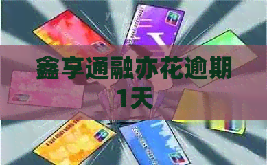 鑫享通融亦花逾期1天