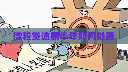 微粒贷逾期半年如何处理