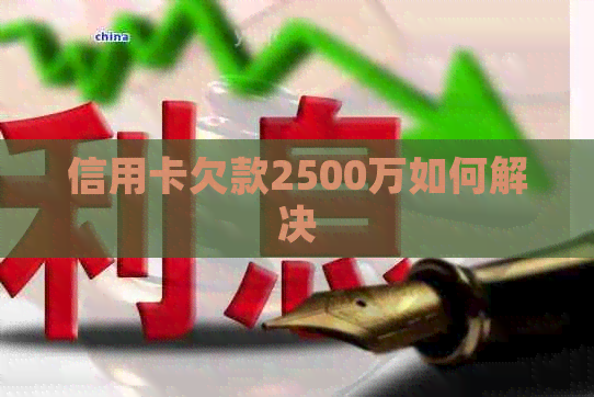 信用卡欠款2500万如何解决 信用卡欠款2500万如何解决