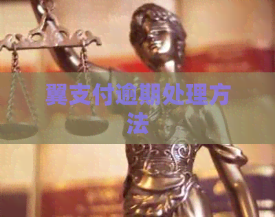 翼支付逾期处理方法