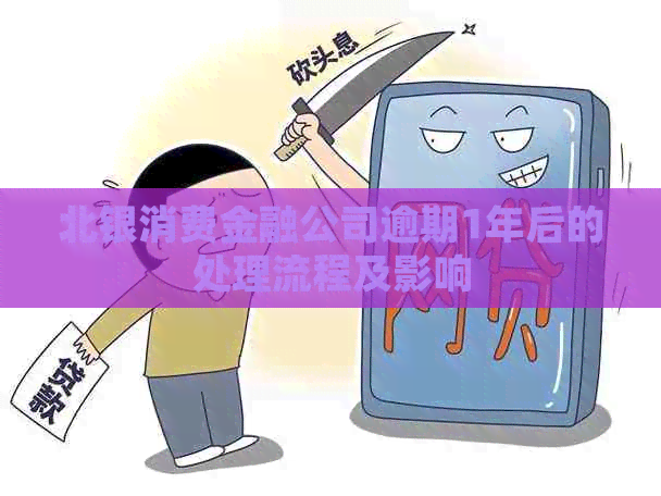 北银消费金融公司逾期1年后的处理流程及影响