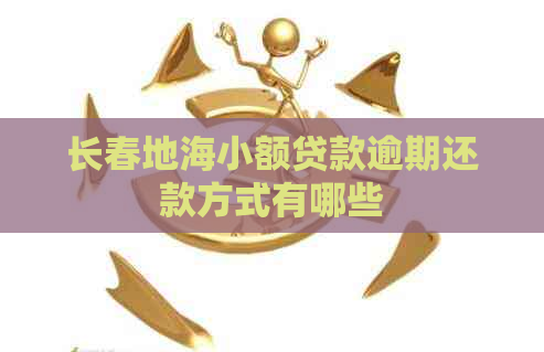 长春地海小额贷款逾期还款方式有哪些