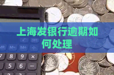 上海发银行逾期如何处理
