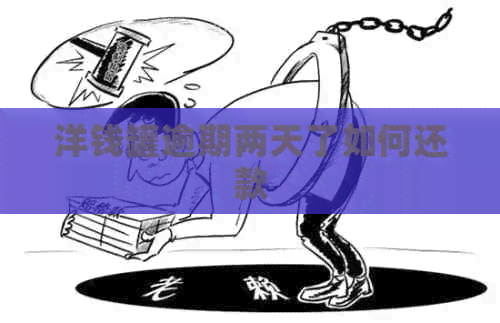 洋钱罐逾期两天了如何还款
