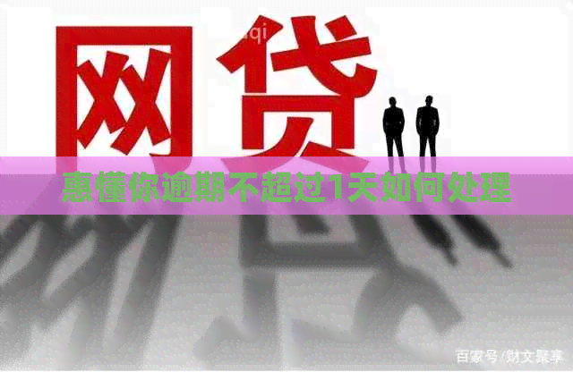 惠懂你逾期不超过1天如何处理