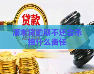 滴水贷逾期不还会承担什么责任