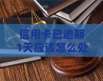 信用卡已逾期1天应该怎么处理