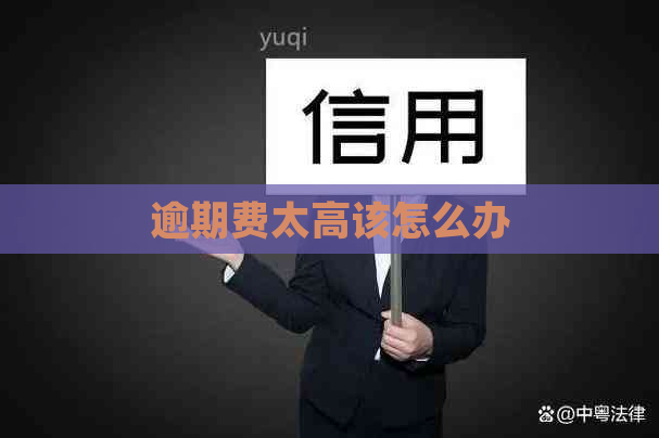 逾期费太高该怎么办