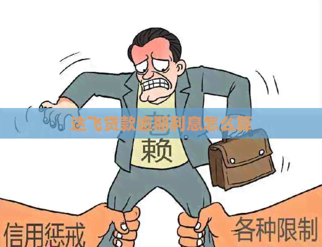 达飞贷款逾期利息怎么算