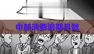 中邮消费逾期月数