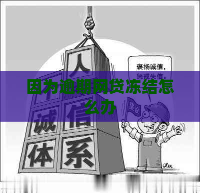 因为逾期网贷冻结怎么办
