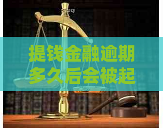 提钱金融逾期多久后会被起诉的法律规定是什么