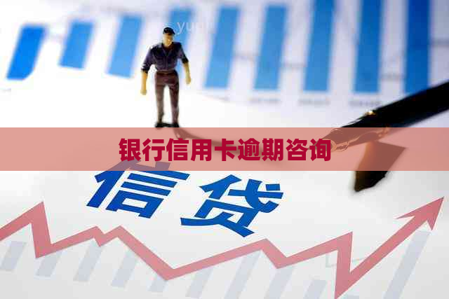 银行信用卡逾期咨询