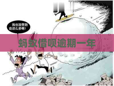 蚂蚁信用卡逾期一年