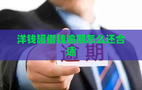 洋钱罐借钱逾期怎么还合适