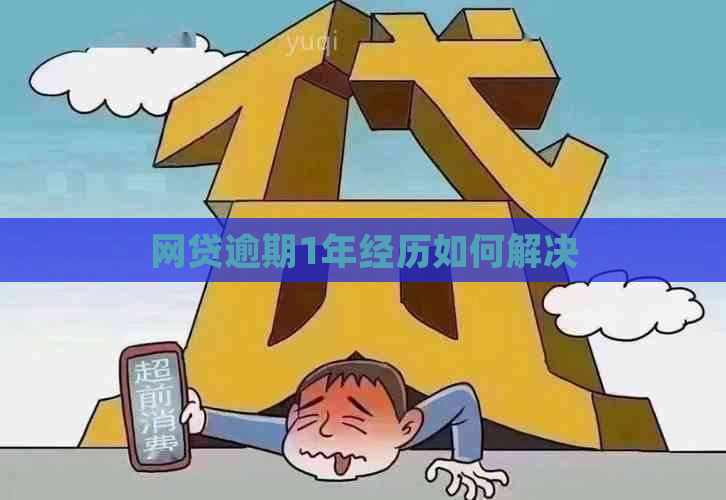 网贷逾期1年经历如何解决