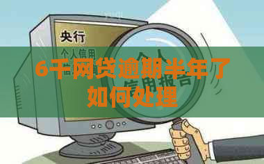 6千网贷逾期半年了如何处理