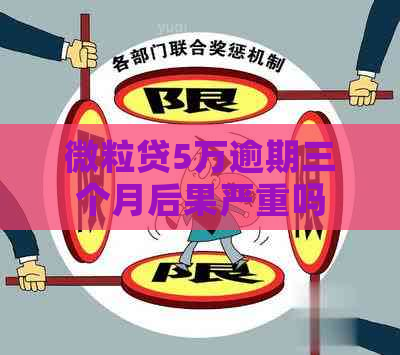 微粒贷5万逾期三个月后果严重吗