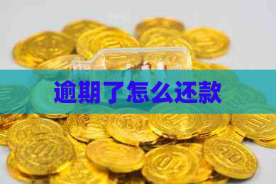 逾期了怎么还款