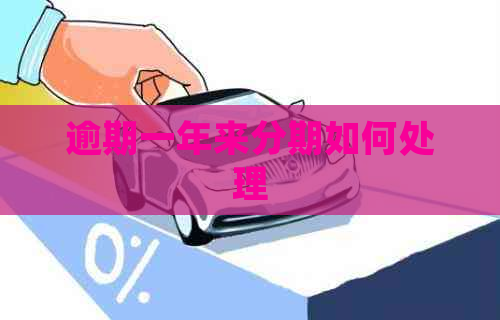 逾期一年来分期如何处理