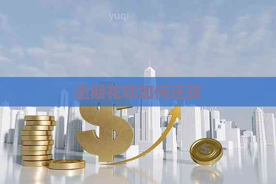 逾期白条如何还款