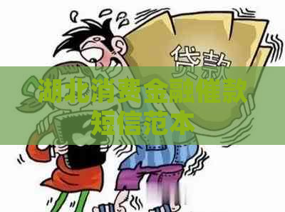 湖北消费金融催款短信范本