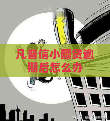 凡普信小额贷逾期后怎么办