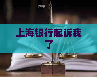 上海银行起诉我了