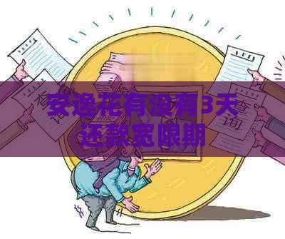 安逸花有没有3天还款宽限期