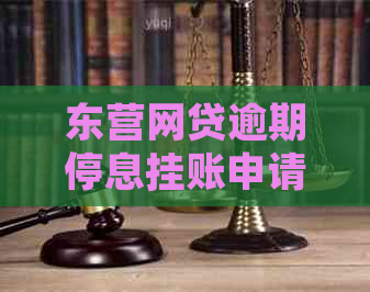 东营网贷逾期停息挂账申请条件怎么样了啊