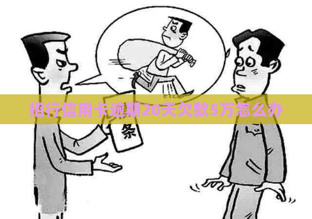 招行信用卡逾期20天欠款5万怎么办