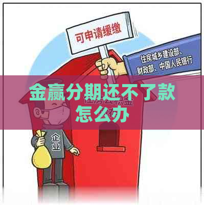 金赢分期还不了款怎么办