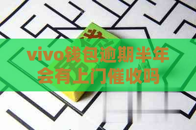 vivo钱包逾期半年会有上门吗