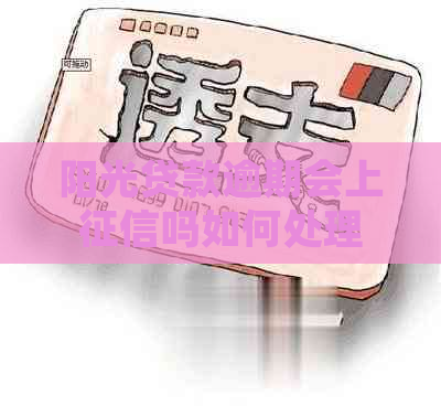 阳光贷款逾期会上吗如何处理