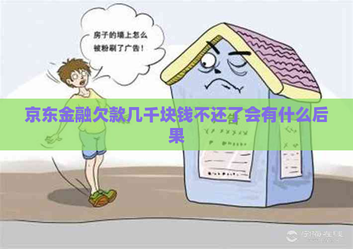 京东金融欠款几千块钱不还了会有什么后果