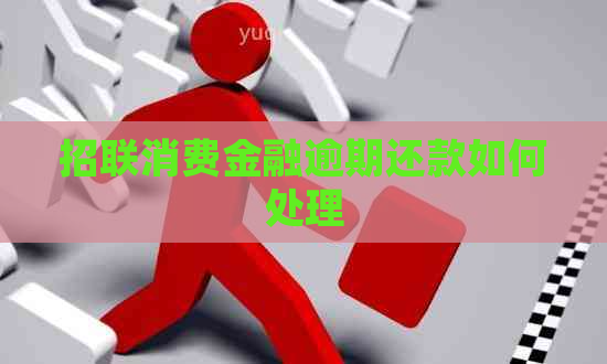 招联消费金融逾期还款如何处理