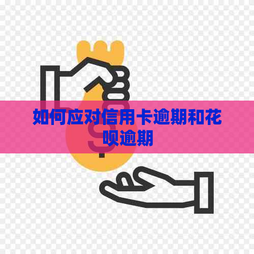 如何应对信用卡逾期和白条逾期