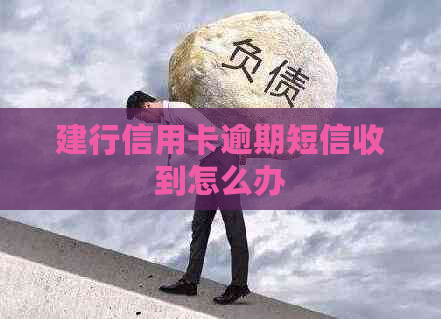 建行信用卡逾期短信收到怎么办