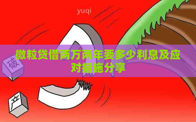 微粒贷借两万两年要多少利息及应对措施分享