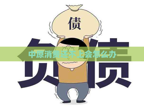 中原消费还不上会怎么办