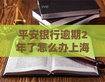 平安银行逾期2年了怎么办上海